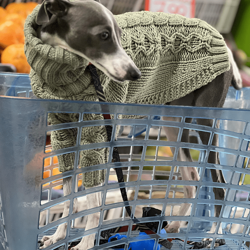 High Neck Cable Knit Sweater for Italian Greyhound Whippet Dog Clothes - PIKAPIKA