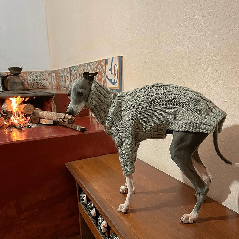 High Neck Cable Knit Sweater for Italian Greyhound Whippet Dog Clothes - PIKAPIKA