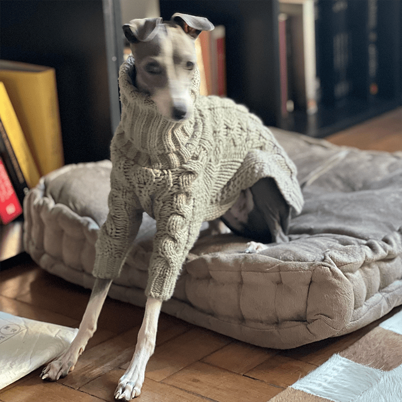 High Neck Cable Knit Sweater for Italian Greyhound Whippet Dog Clothes - PIKAPIKA