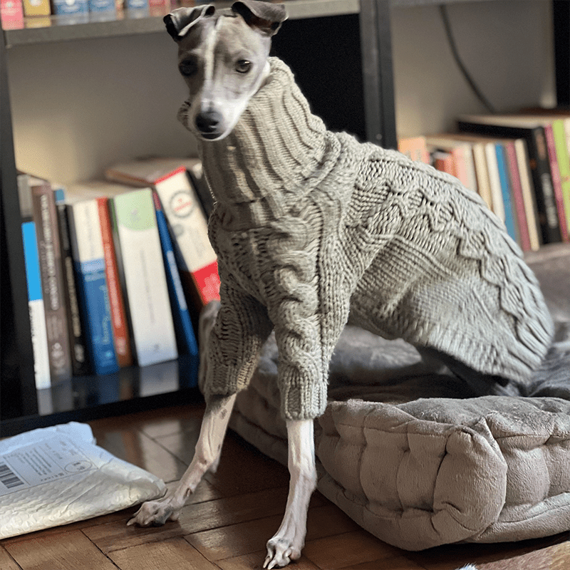 High Neck Cable Knit Sweater for Italian Greyhound Whippet Dog Clothes - PIKAPIKA