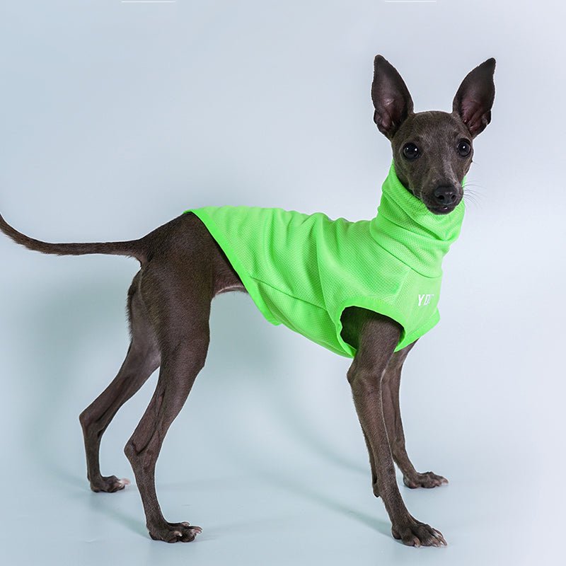 High Neck Sport Sleeveless Shirt Italian greyhound Whippet Dog Clothes - PIKAPIKA