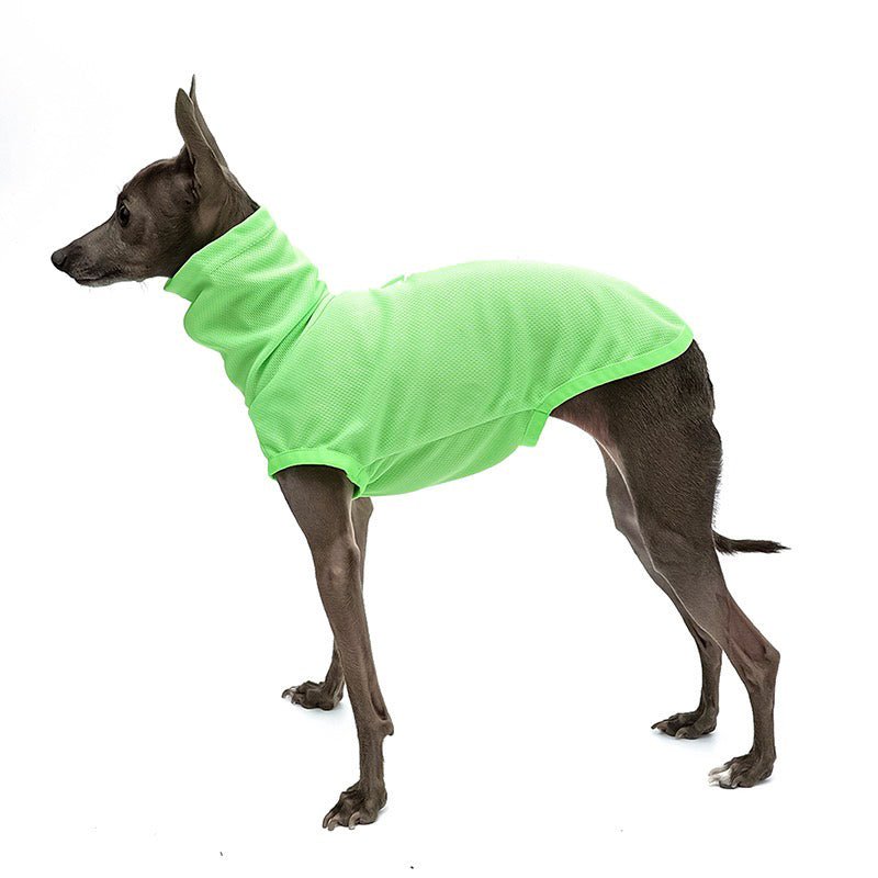 High Neck Sport Sleeveless Shirt Italian greyhound Whippet Dog Clothes - PIKAPIKA