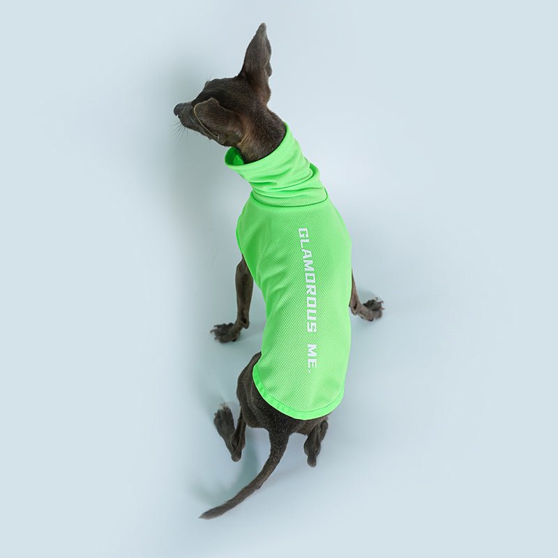 High Neck Sport Sleeveless Shirt Italian greyhound Whippet Dog Clothes - PIKAPIKA