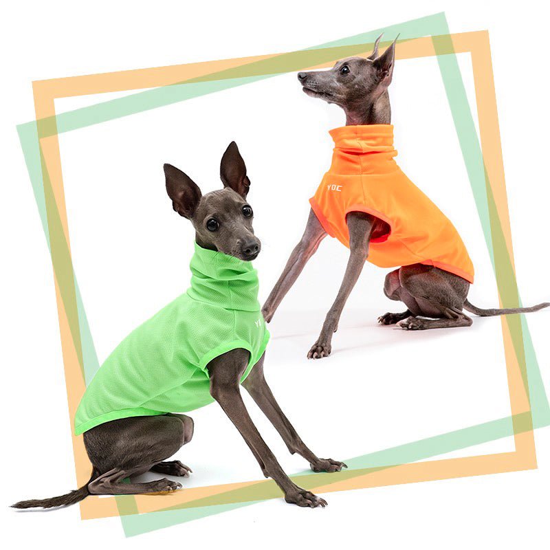 High Neck Sport Sleeveless Shirt Italian greyhound Whippet Dog Clothes - PIKAPIKA