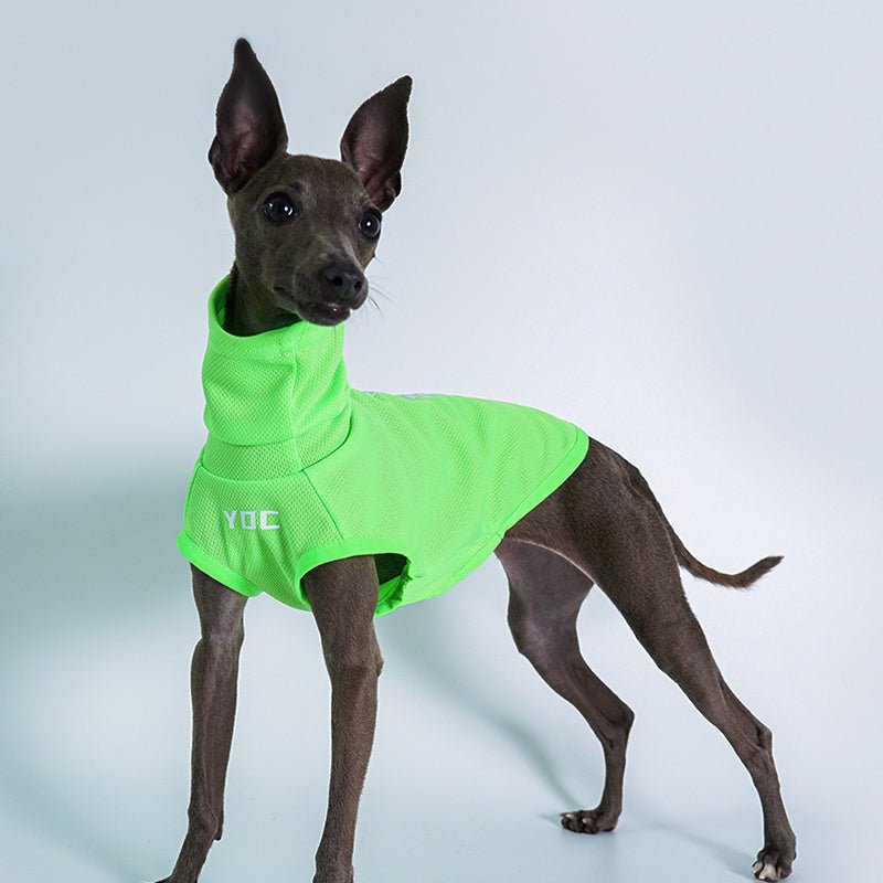 High Neck Sport Sleeveless Shirt Italian greyhound Whippet Dog Clothes - PIKAPIKA