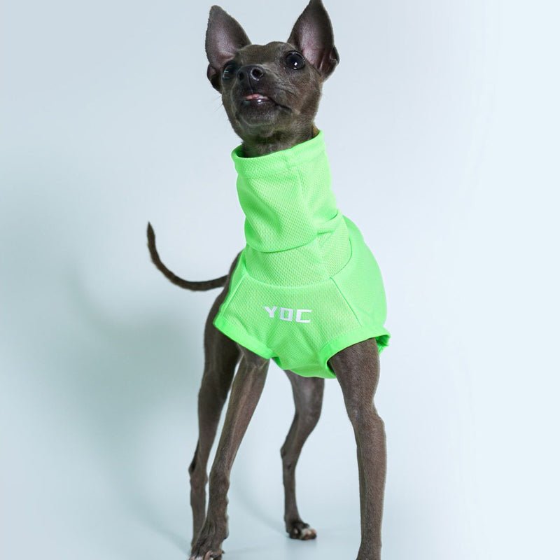 High Neck Sport Sleeveless Shirt Italian greyhound Whippet Dog Clothes - PIKAPIKA