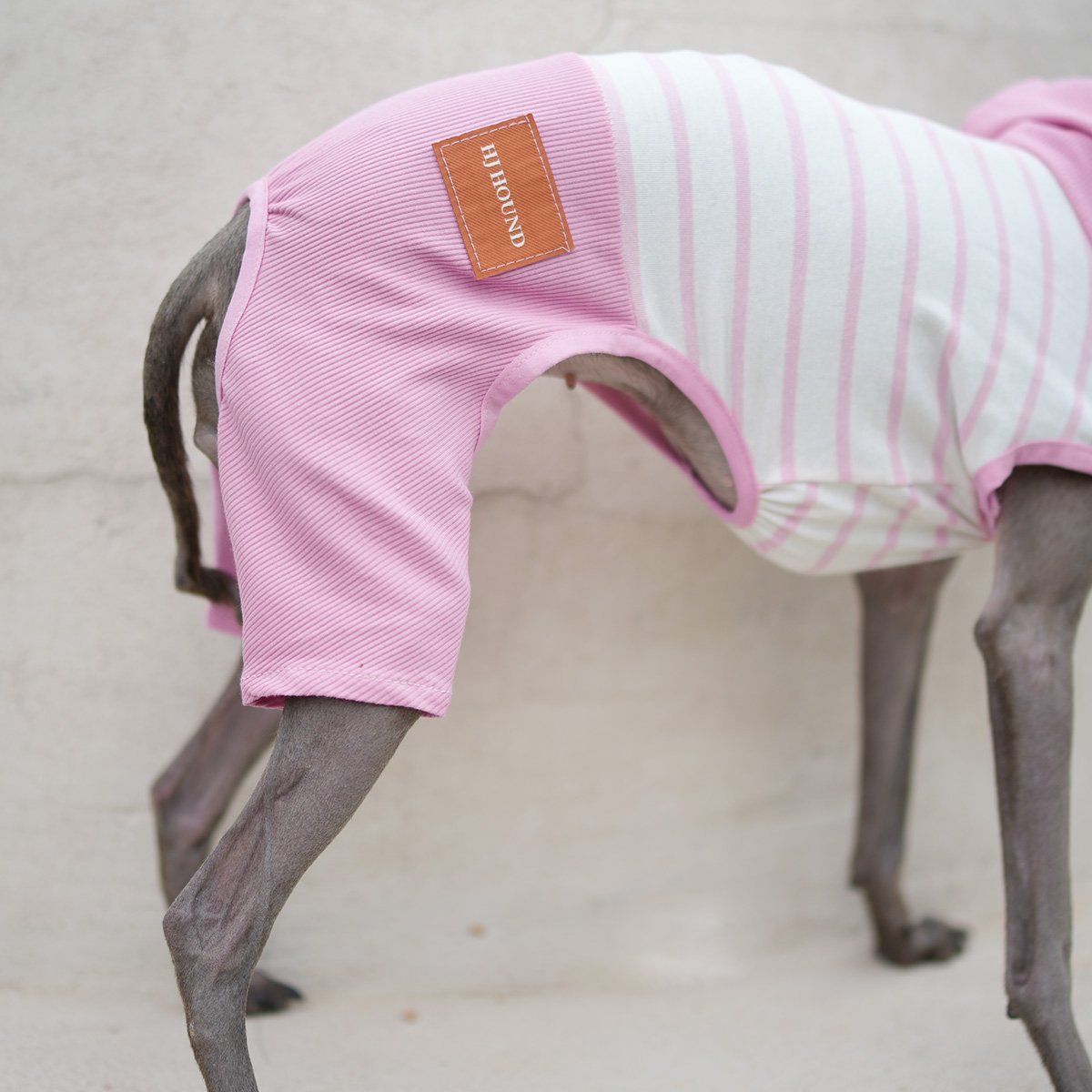 Hooded Striped Vest for Dogs Lightweight Spring Summer Wear for Sighthounds - PIKAPIKA