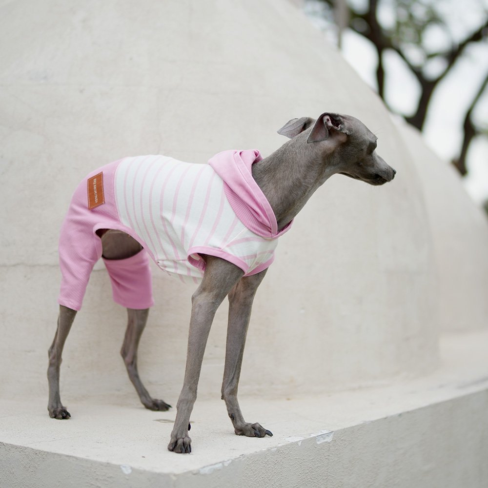 Hooded Striped Vest for Dogs Lightweight Spring Summer Wear for Sighthounds - PIKAPIKA