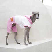 Hooded Striped Vest for Dogs Lightweight Spring Summer Wear for Sighthounds - PIKAPIKA