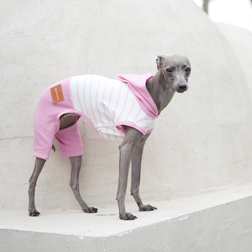 Hooded Striped Vest for Dogs Lightweight Spring Summer Wear for Sighthounds - PIKAPIKA