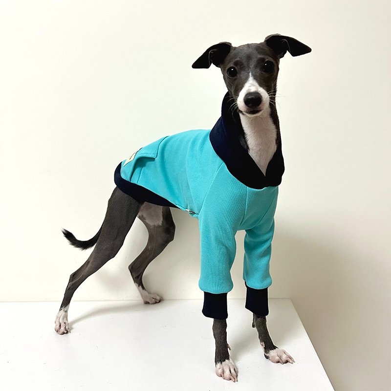 Hoodie Italian Greyhound Whippet Dog Clothes - PIKAPIKA