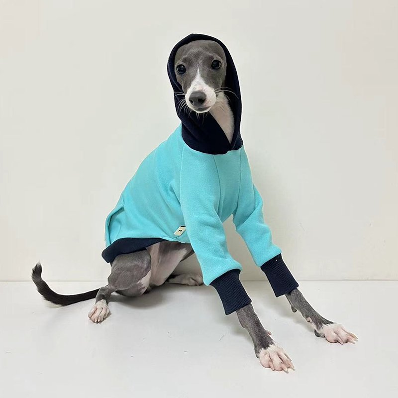 Hoodie Italian Greyhound Whippet Dog Clothes - PIKAPIKA