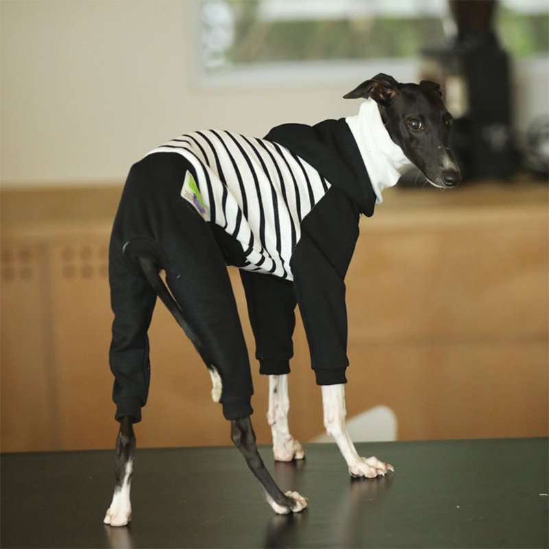 Hoodie Onesie Italian Greyhound Whippet Dog Clothes - PIKAPIKA