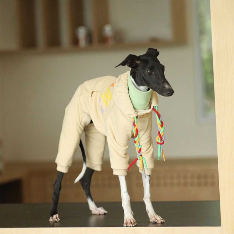 Hoodie Onesie Italian Greyhound Whippet Dog Clothes - PIKAPIKA