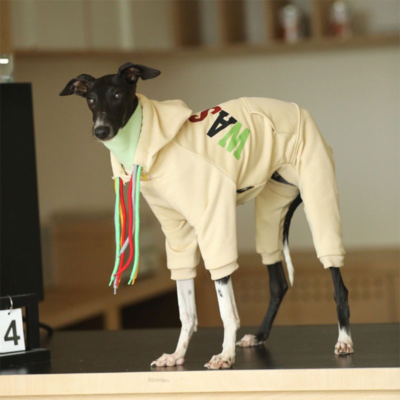 Hoodie Onesie Italian Greyhound Whippet Dog Clothes - PIKAPIKA