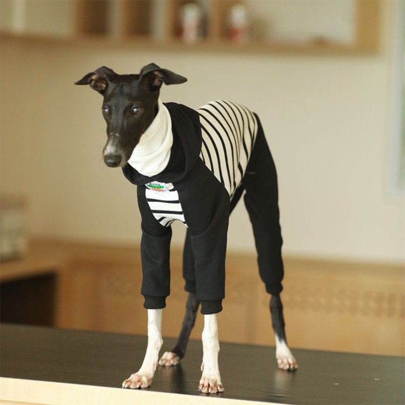 Hoodie Onesie Italian Greyhound Whippet Dog Clothes - PIKAPIKA