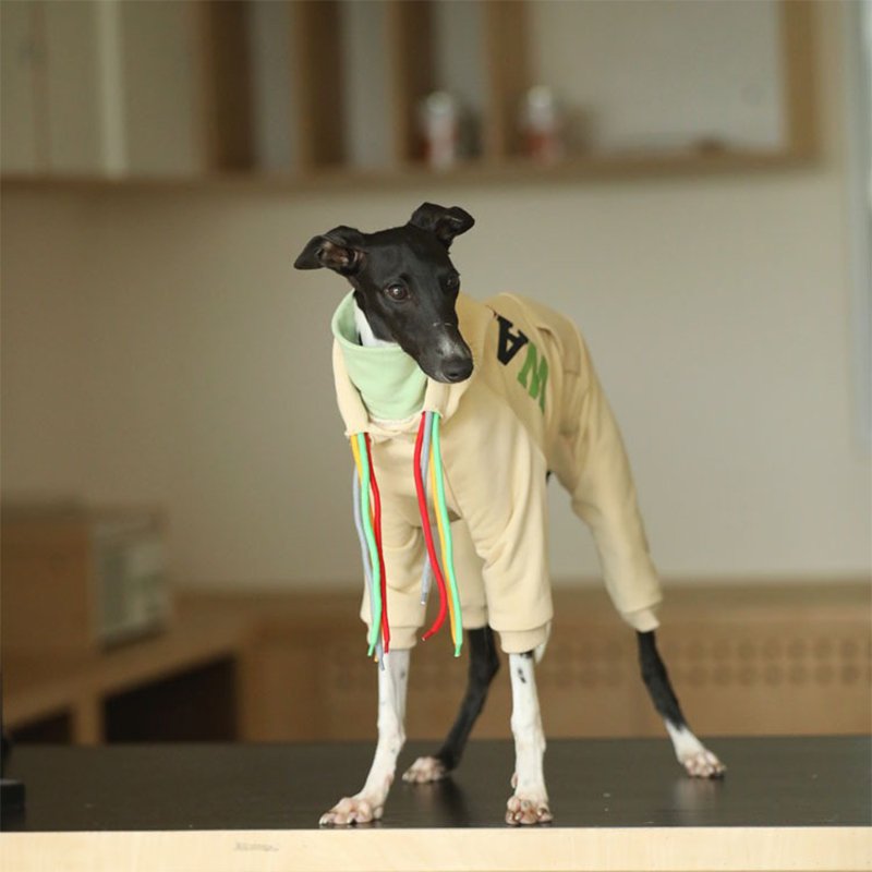 Hoodie Onesie Italian Greyhound Whippet Dog Clothes - PIKAPIKA
