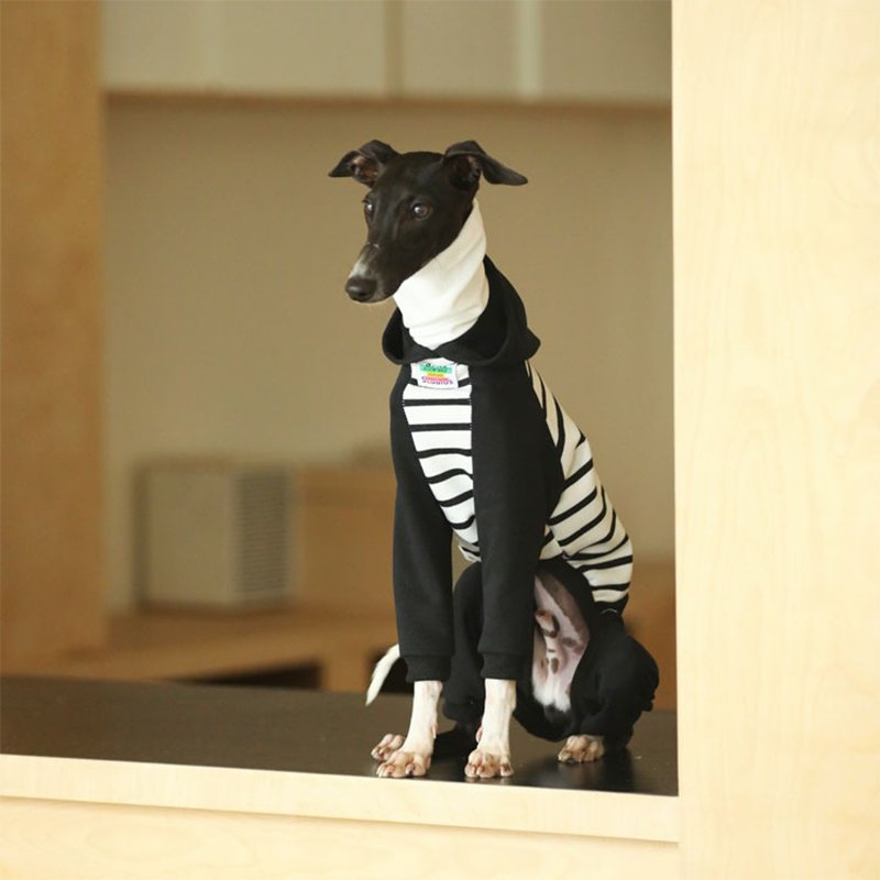 Hoodie Onesie Italian Greyhound Whippet Dog Clothes - PIKAPIKA