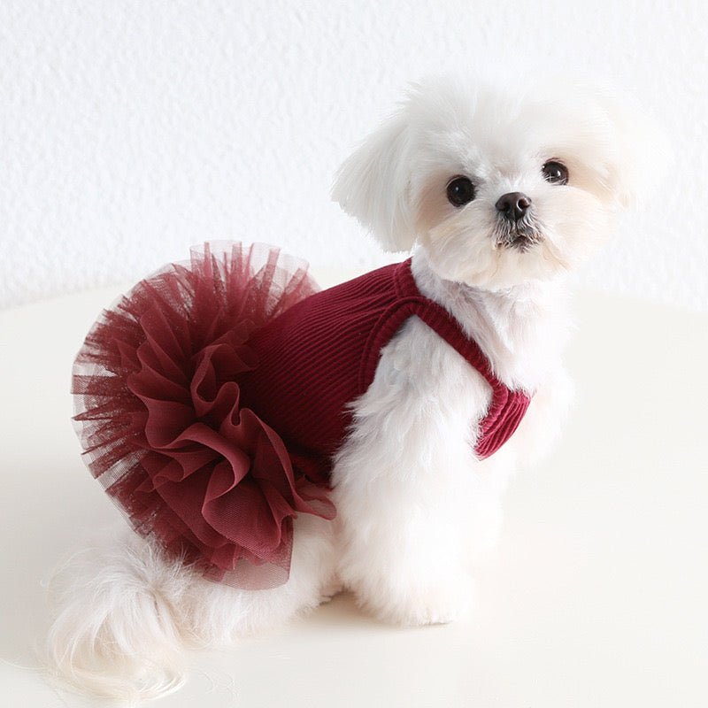 Hot Likes Layered Lace Princess Dog Dress Dog Clothes - PIKAPIKA