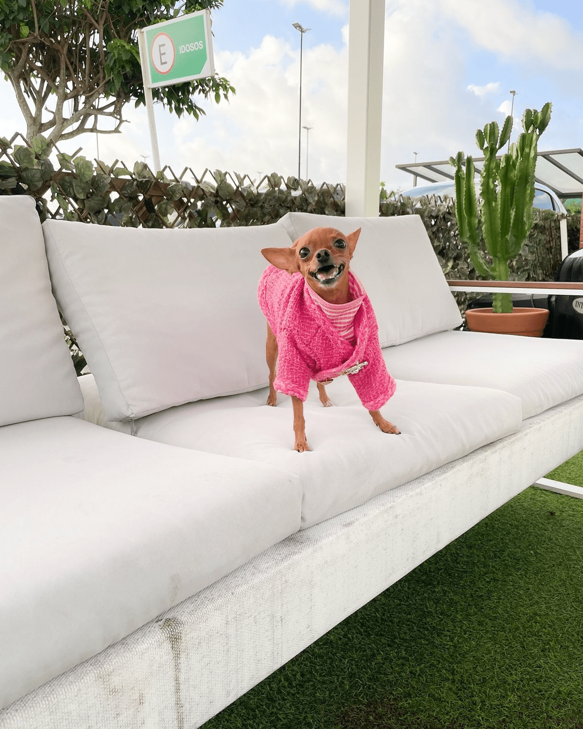 Hot Likes Tweed Style Jacket Warm Dog Clothes Chihuahua - PIKAPIKA