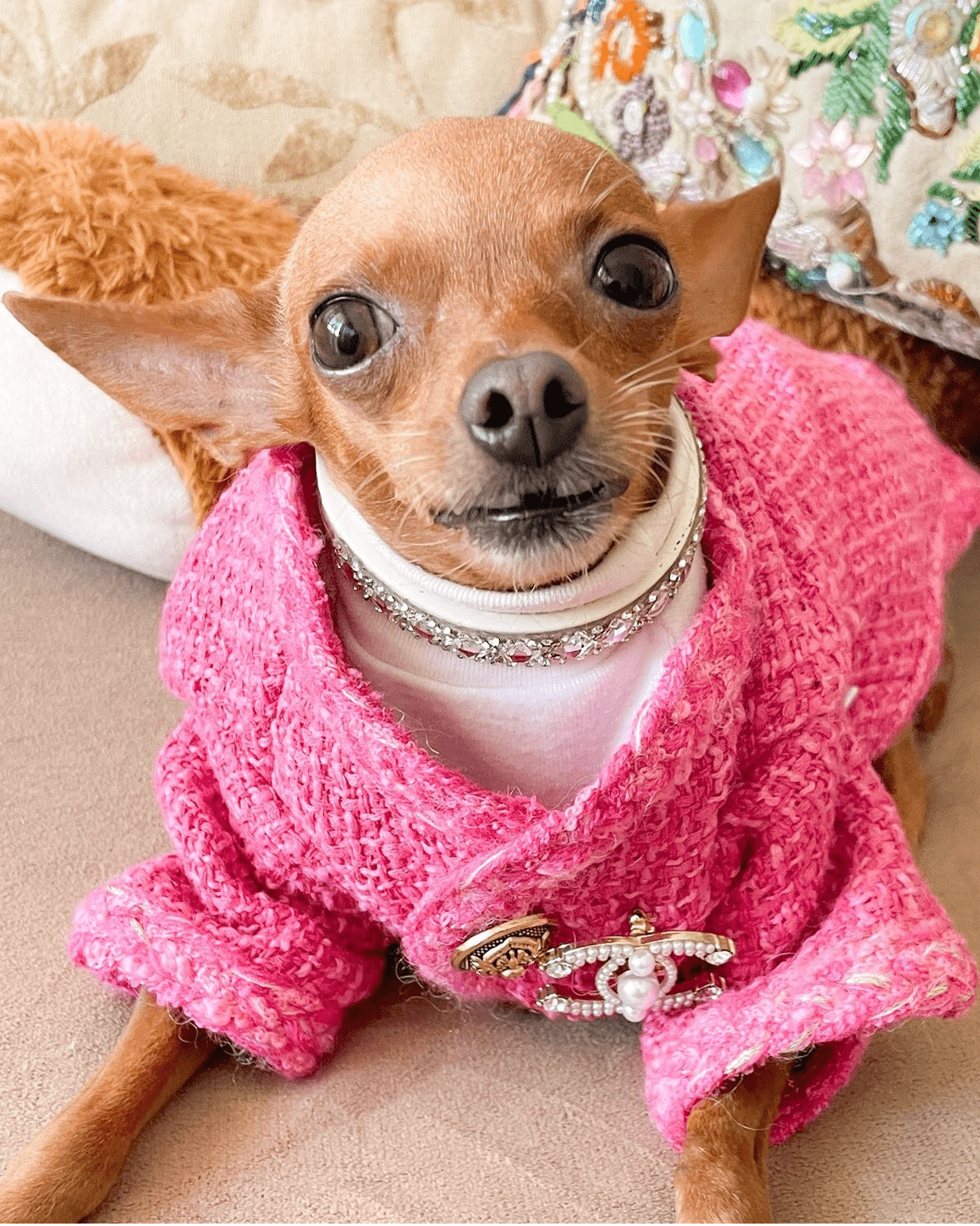 Hot Likes Tweed Style Jacket Warm Dog Clothes Chihuahua - PIKAPIKA