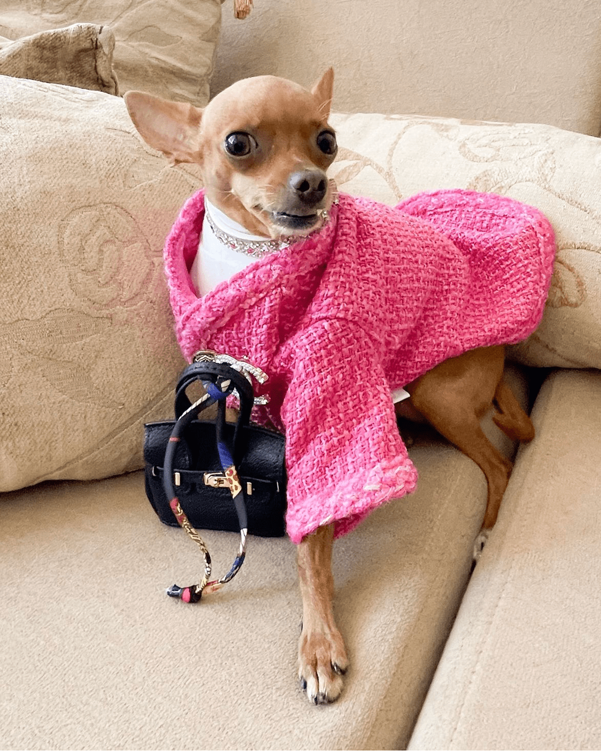 Hot Likes Tweed Style Jacket Warm Dog Clothes Chihuahua - PIKAPIKA