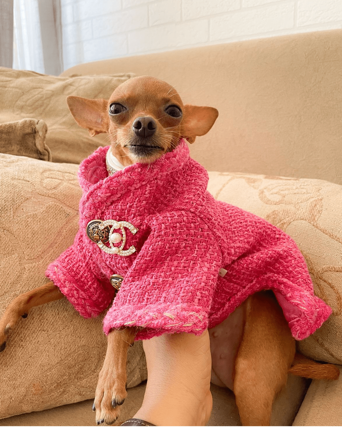 Hot Likes Tweed Style Jacket Warm Dog Clothes Chihuahua - PIKAPIKA