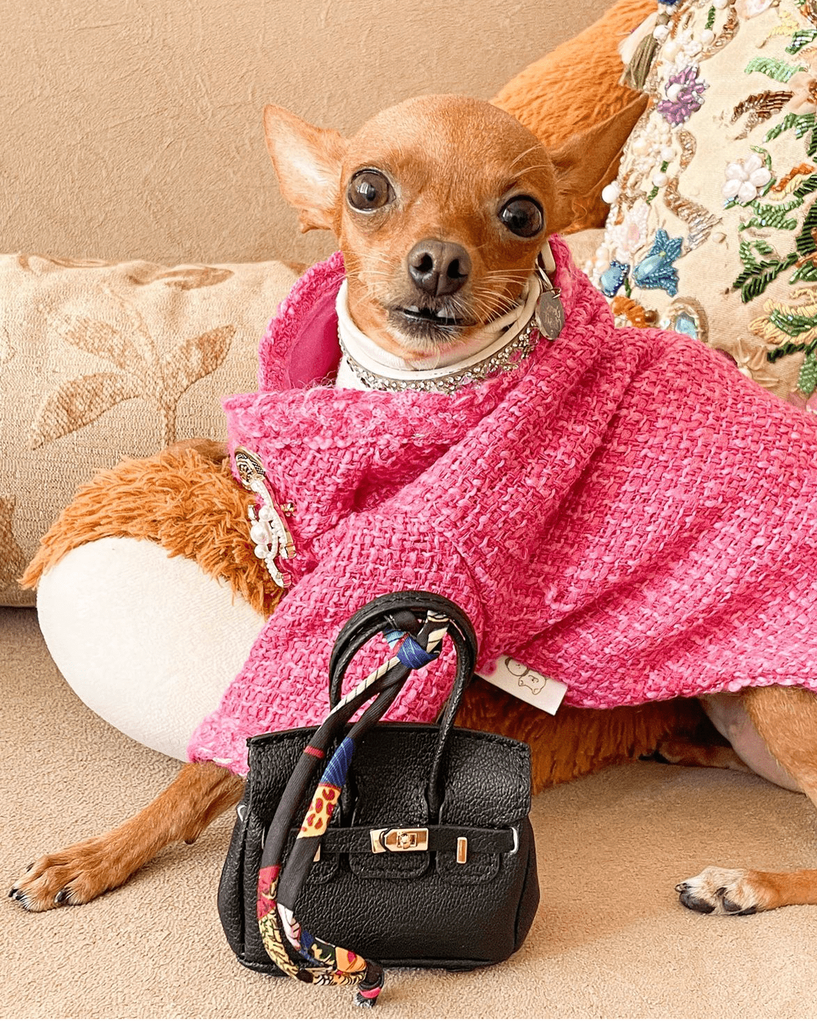 Hot Likes Tweed Style Jacket Warm Dog Clothes Chihuahua - PIKAPIKA