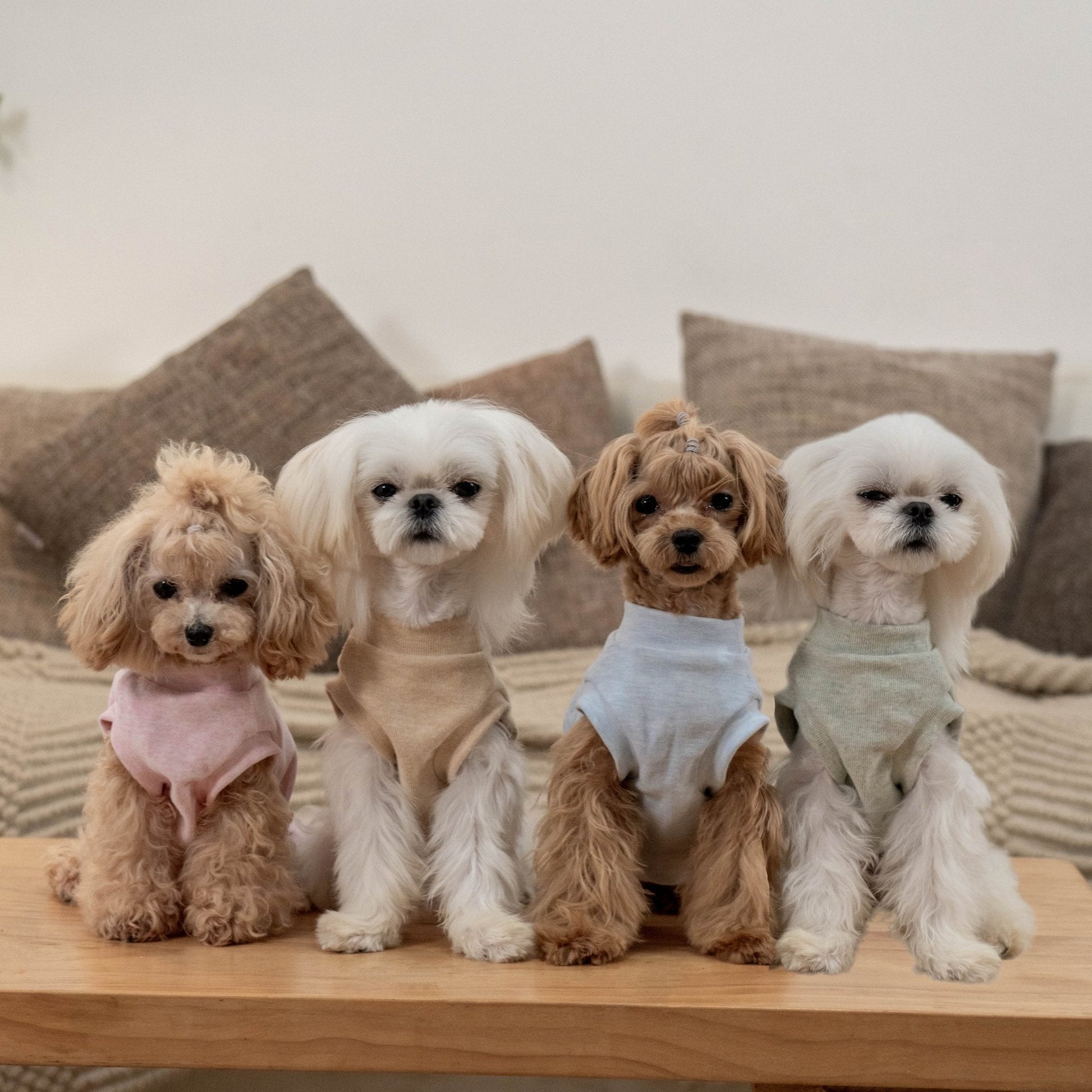 Hypoallergenic Baby Soft Vest for Toy Dogs - PIKAPIKA