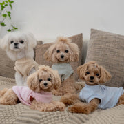 Hypoallergenic Baby Soft Vest for Toy Dogs - PIKAPIKA