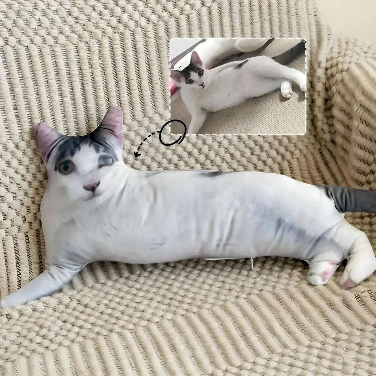 Create Your Own Custom "Ugly" Pet Pillow | Hilarious 3D Shaped Photo Gift