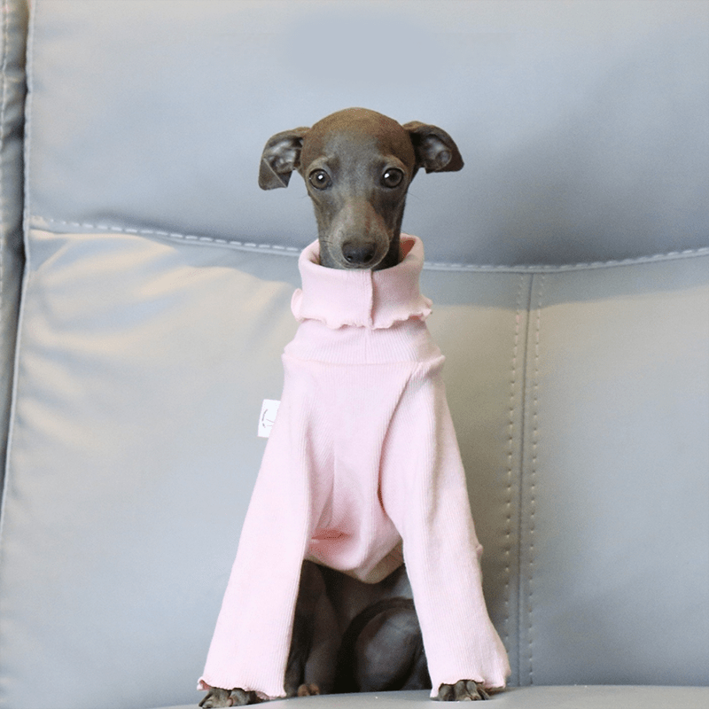 Italian Greyhound Dog Clothes Underlayer Shirts High Neck - PIKAPIKA