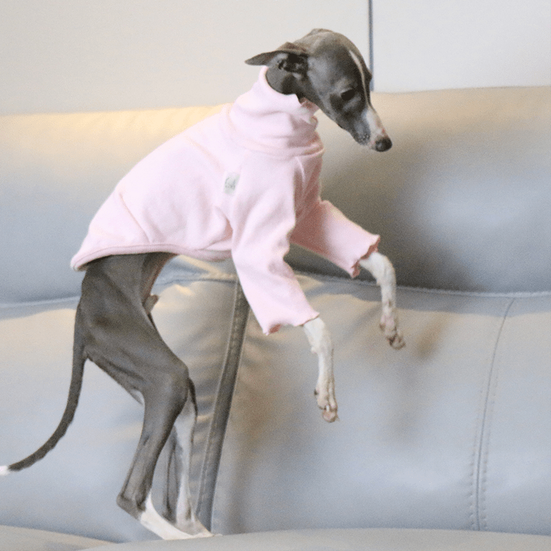 Italian Greyhound Dog Clothes Underlayer Shirts High Neck - PIKAPIKA