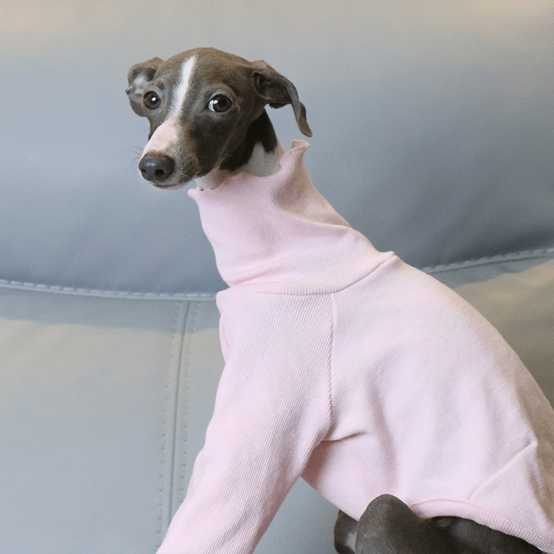 Italian Greyhound Dog Clothes Underlayer Shirts High Neck - PIKAPIKA