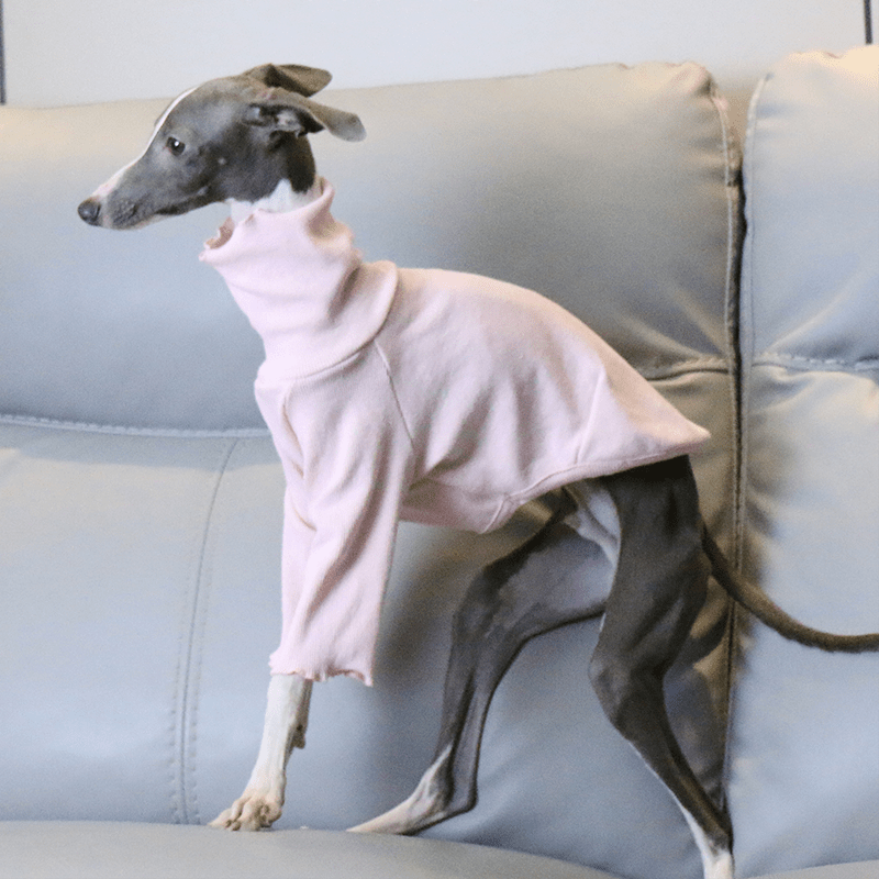 Italian Greyhound Dog Clothes Underlayer Shirts High Neck - PIKAPIKA