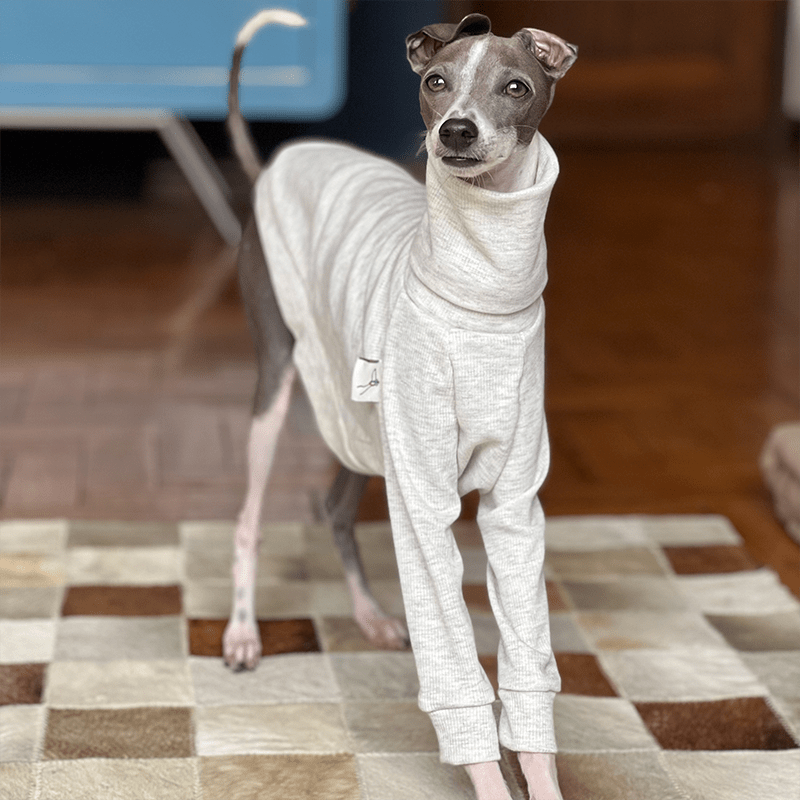 Italian Greyhound Dog Clothes Underlayer Shirts High Neck Soft Touch - PIKAPIKA