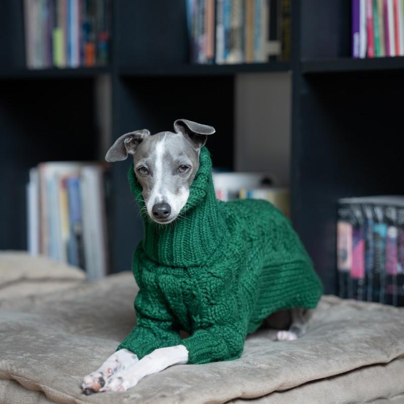 Italian Greyhound Dog Sweater Cable Knit Clothes - PIKAPIKA