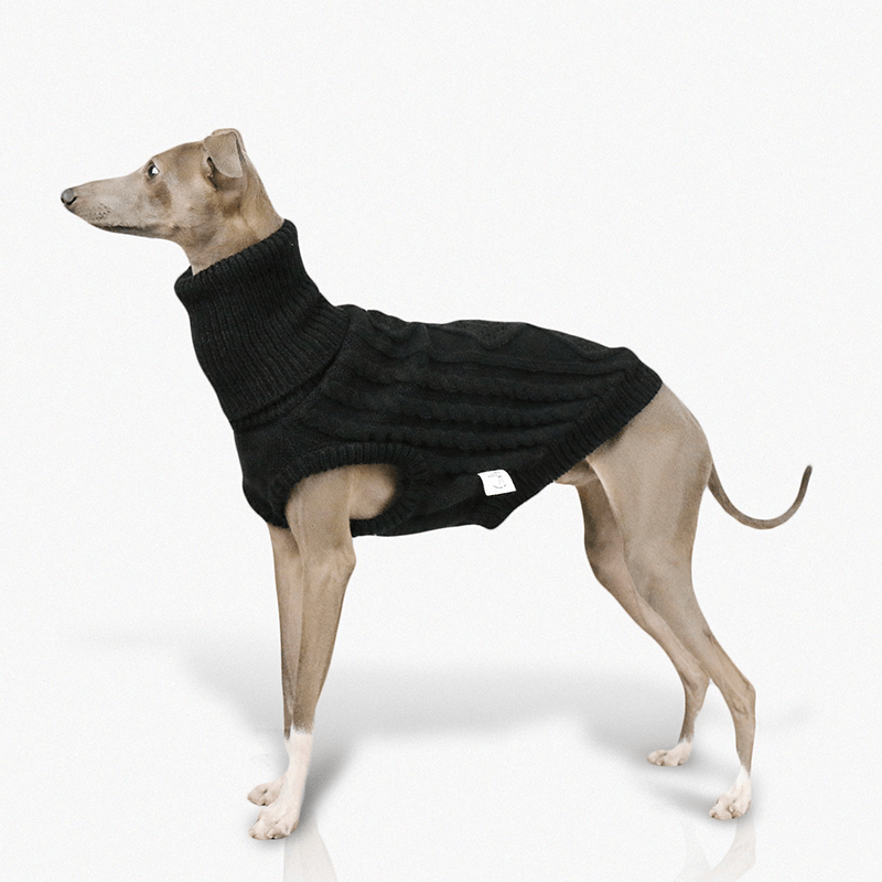 Italian Greyhound Dog Sweater Cable Knit Clothes Black - PIKAPIKA