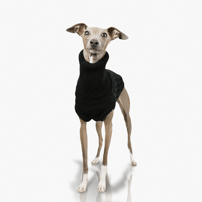 Italian Greyhound Dog Sweater Cable Knit Clothes Black - PIKAPIKA