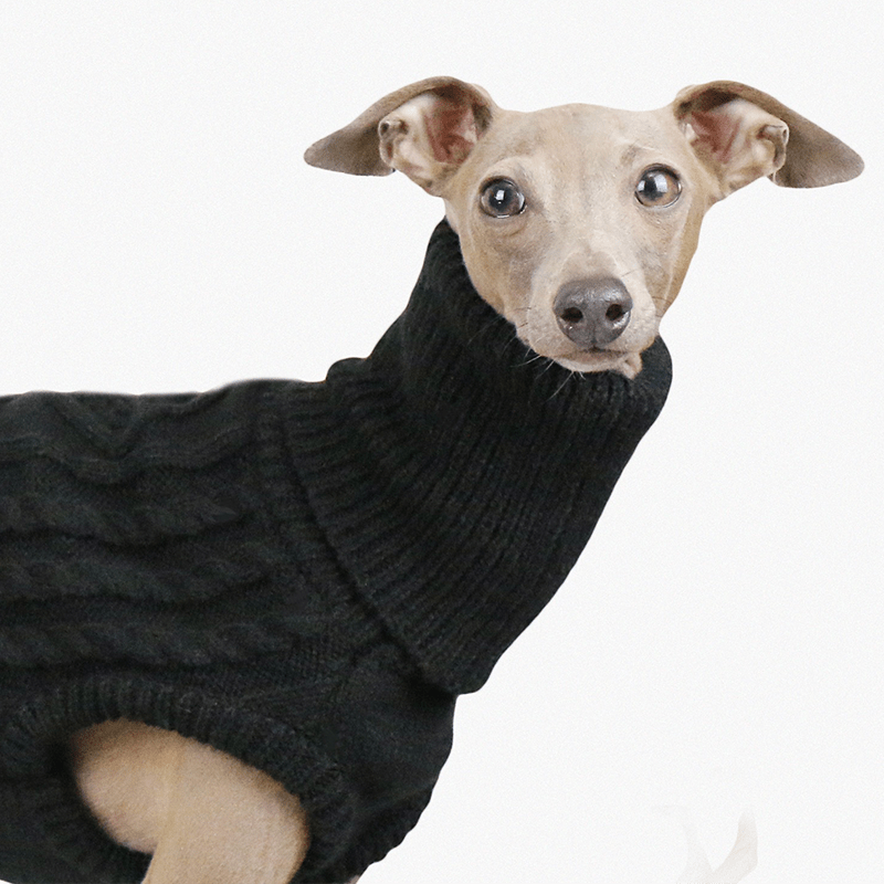 Italian Greyhound Dog Sweater Cable Knit Clothes Black - PIKAPIKA