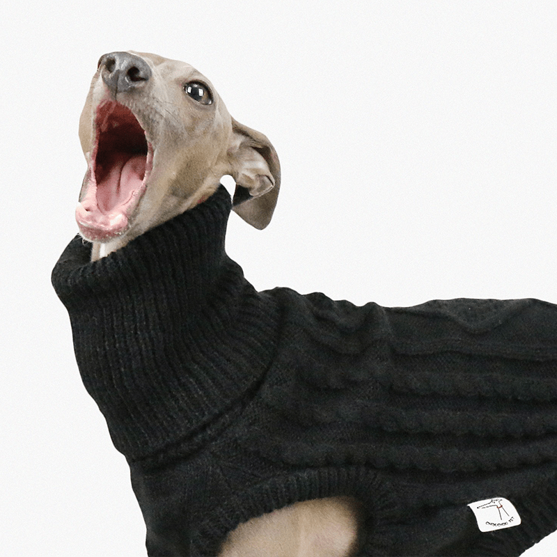 Italian Greyhound Dog Sweater Cable Knit Clothes Black - PIKAPIKA