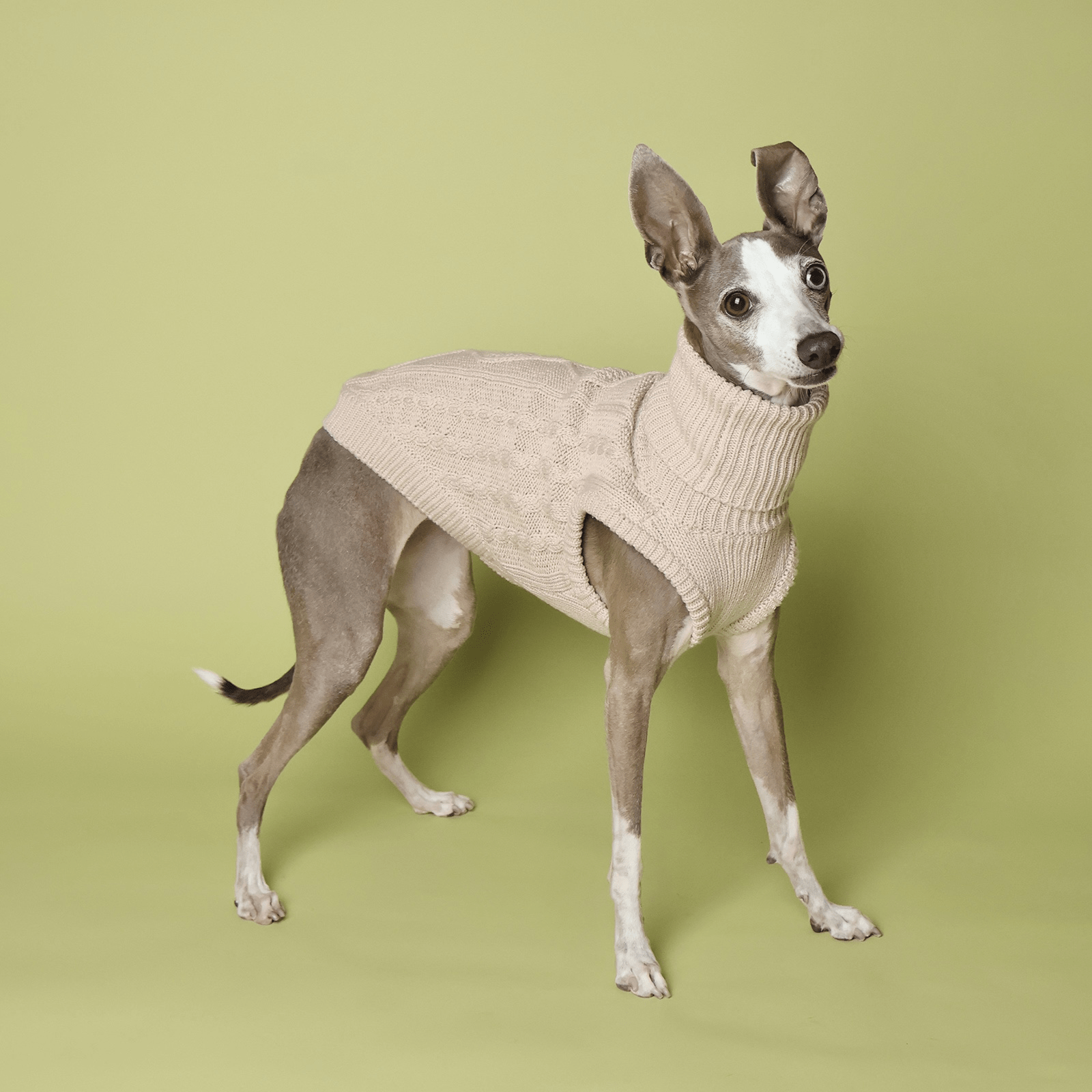 Italian Greyhound Dog Sweater Cable Knit Clothes Vest High Neck - PIKAPIKA