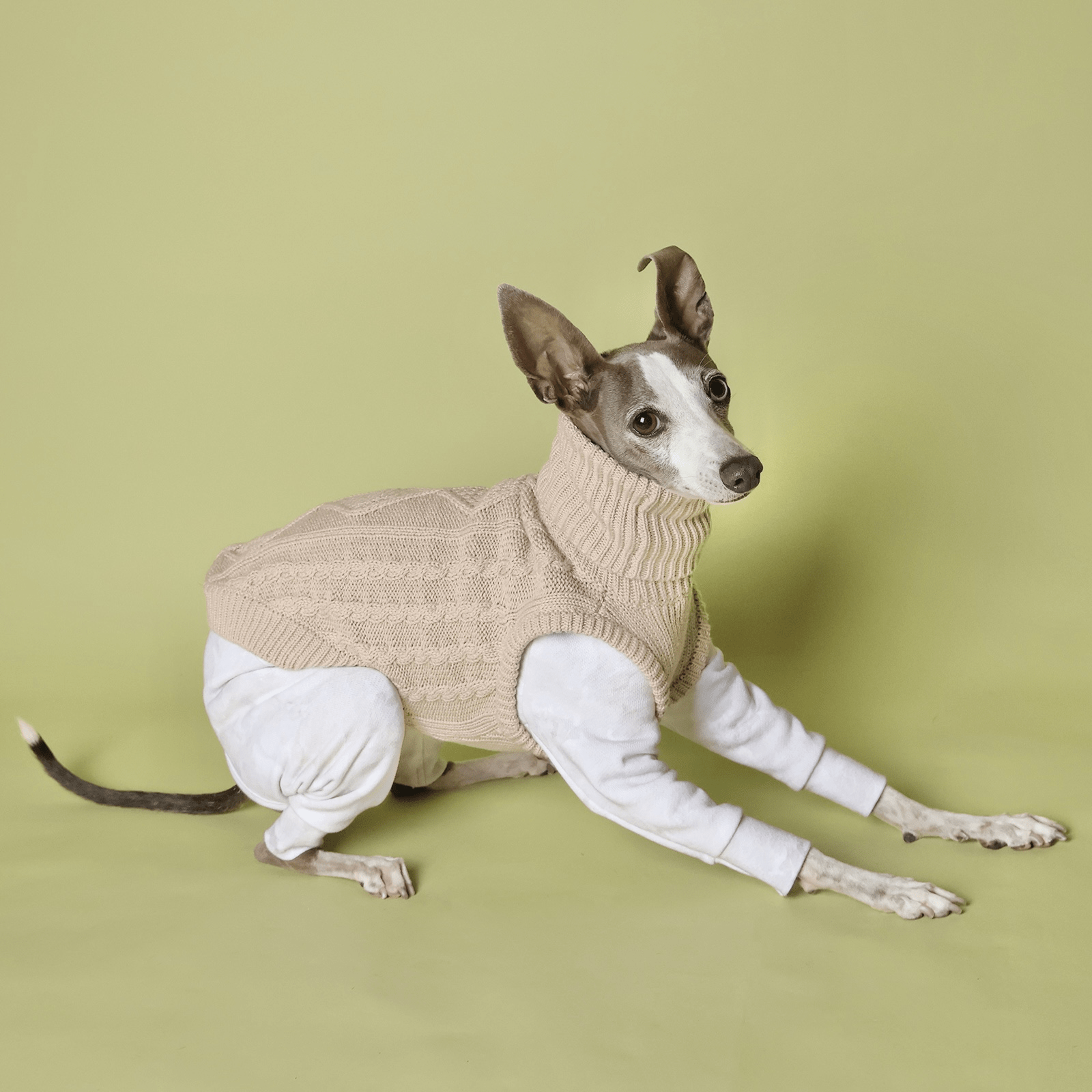 Italian Greyhound Dog Sweater Cable Knit Clothes Vest High Neck - PIKAPIKA