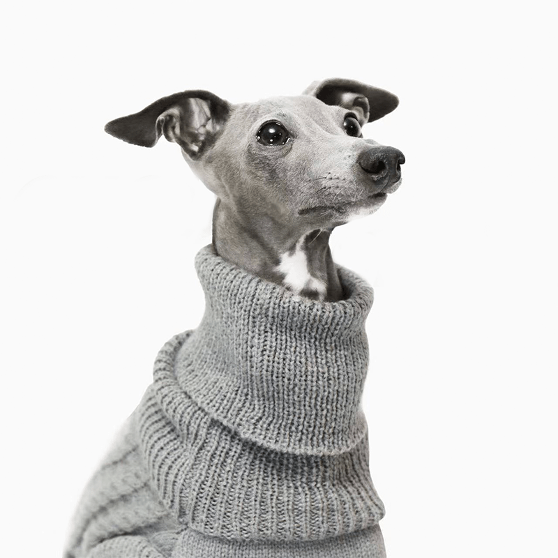 Italian Greyhound Dog Sweater Cable Knit Clothes Vest High Neck Gray - PIKAPIKA