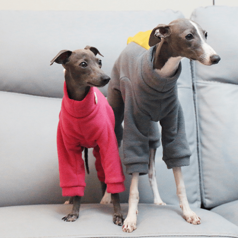 Italian Greyhound Onesies Double Fleece Dinosaur Thick Whippet Dog Clothes Rose - PIKAPIKA