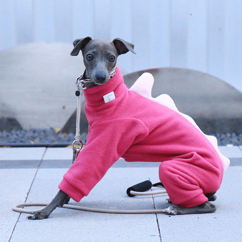 Italian Greyhound Onesies Double Fleece Dinosaur Thick Whippet Dog Clothes Rose - PIKAPIKA