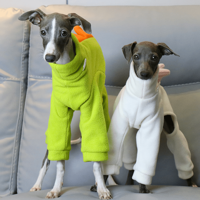 Italian Greyhound Onesies Double Fleece Dinosaur Thick Whippet Dog Clothes White - PIKAPIKA