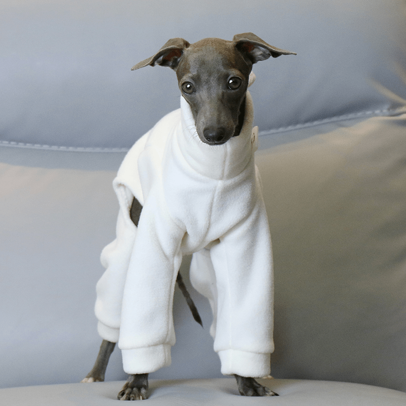 Italian Greyhound Onesies Double Fleece Dinosaur Thick Whippet Dog Clothes White - PIKAPIKA