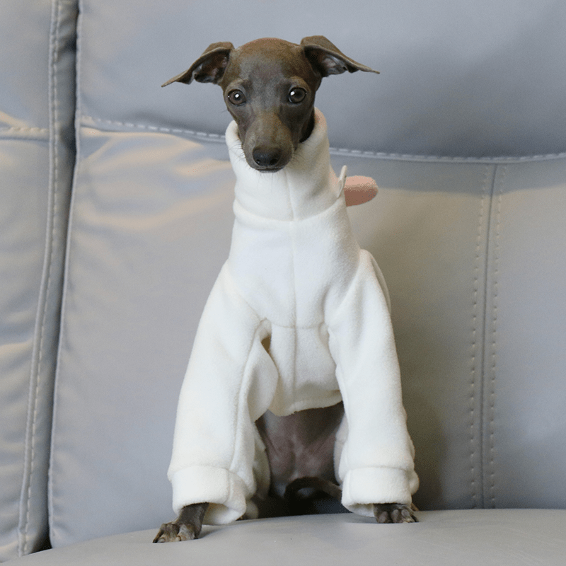Italian Greyhound Onesies Double Fleece Dinosaur Thick Whippet Dog Clothes White - PIKAPIKA