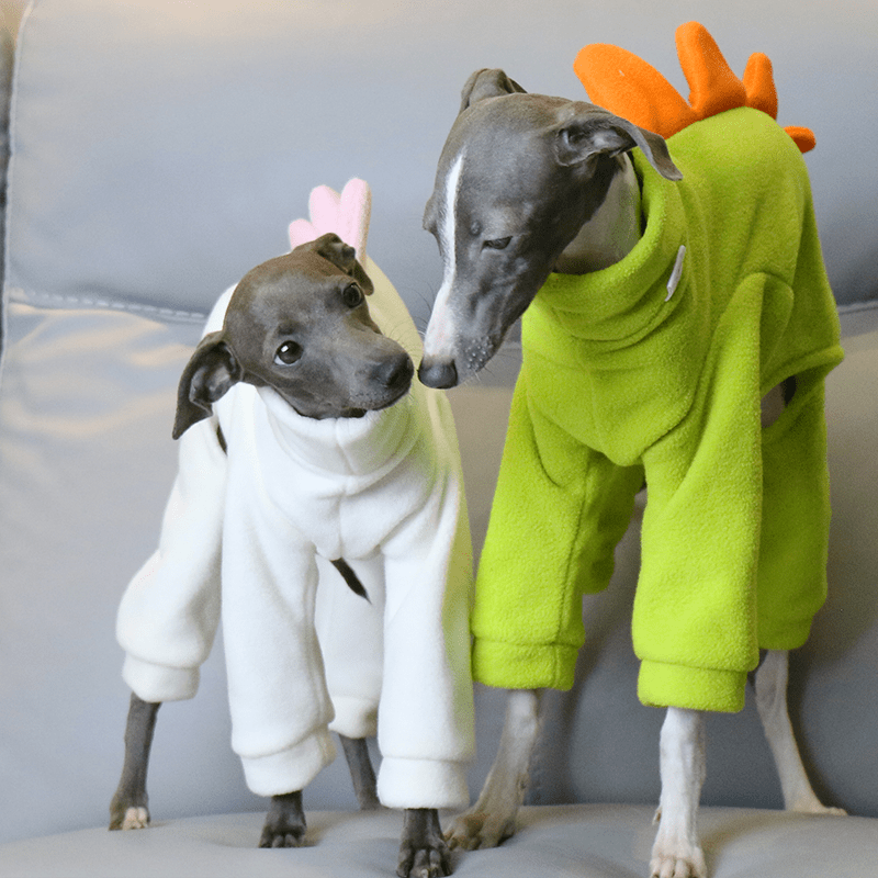 Italian Greyhound Onesies Double Fleece Dinosaur Thick Whippet Dog Clothes White - PIKAPIKA